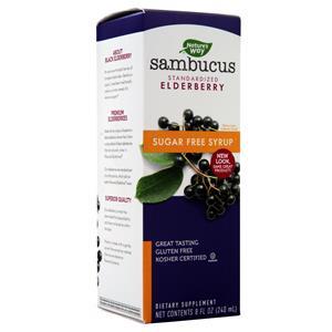 Nature's Way Sambucus Black Elderberry (Sugar-Free) 8 fl.oz
