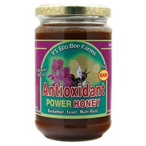 Y.S. Eco Bee Farms Raw Antioxidant Power Honey  13.5 oz