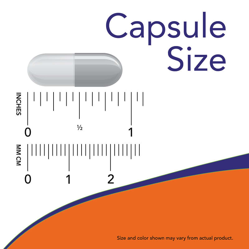 Now L-Carnosine (500mg)  100 vcaps