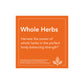 Now Echinacea & Goldenseal Root  100 vcaps