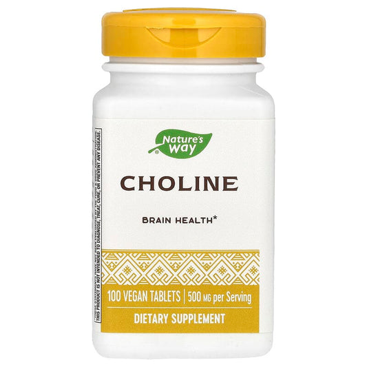 Nature's Way Choline Bitartrate (500mg)  100 tabs