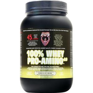 Healthy N Fit 100% Whey Pro-Amino Vanilla Ice Cream 2 lbs