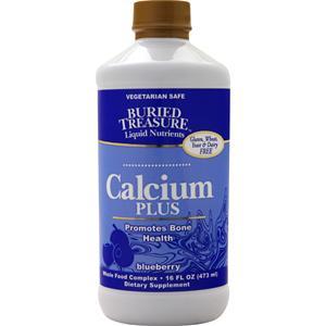 Buried Treasure Calcium Plus Blueberry 16 fl.oz