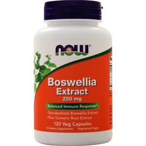 Now Boswellia Extract (250mg)  120 vcaps