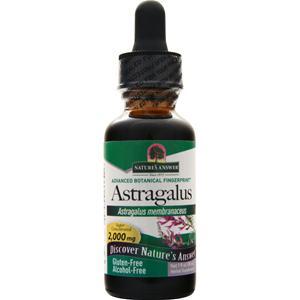 Nature's Answer Astragalus Root (Alcohol Free)  1 fl.oz