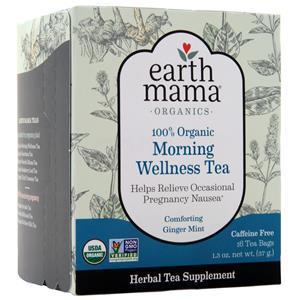 Earth Mama 100% Organic Morning Wellness Tea Comforting Ginger Mint 16 pckts