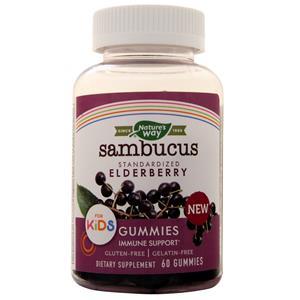 Nature's Way Sambucus Gummies For Kids - Standardized Elderberry  60 gummy