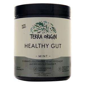 Terra Origin Healthy Gut Mint 7.83 oz
