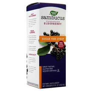 Nature's Way Sambucus Black Elderberry (Sugar-Free)  8 fl.oz