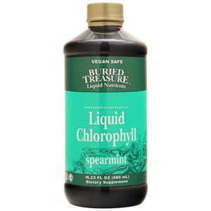 Buried Treasure Liquid Chlorophyll Spearmint 16.23 fl.oz