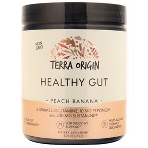Terra Origin Healthy Gut Peach Banana 8.25 oz